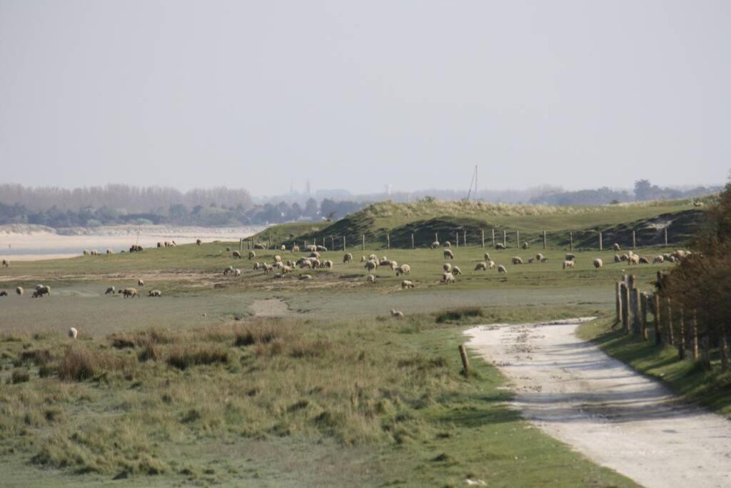 Gite Ouest De La Pointe D'Agon Buitenkant foto