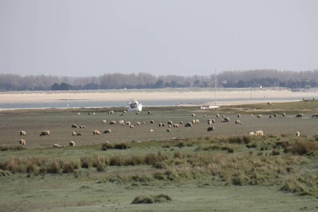 Gite Ouest De La Pointe D'Agon Buitenkant foto
